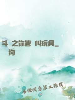 斗羅之你管這叫玩具