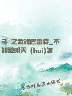 斗羅之武魂巴雷特