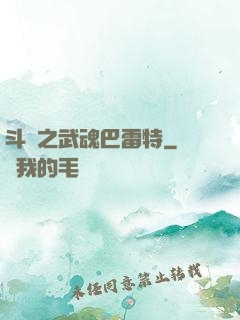 斗羅之武魂巴雷特