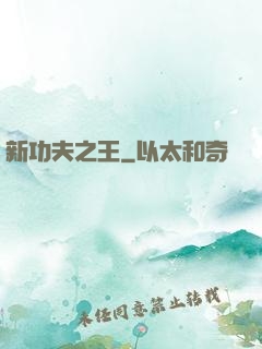 新功夫之王
