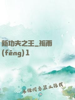 新功夫之王