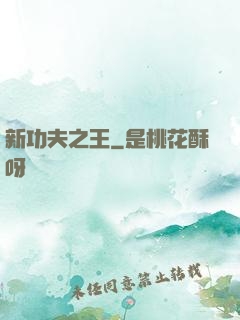 新功夫之王