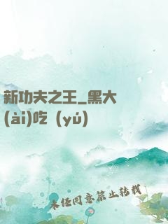 新功夫之王