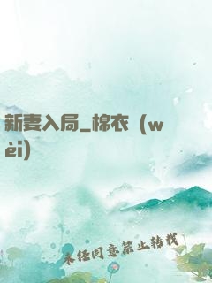 新妻入局