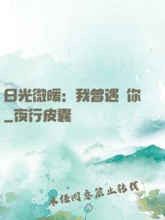 日光微暖：我曾遇見你