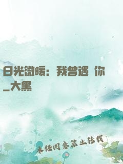 日光微暖：我曾遇見你