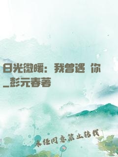日光微暖：我曾遇見你
