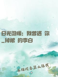 日光微暖：我曾遇見你