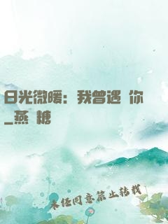 日光微暖：我曾遇見你