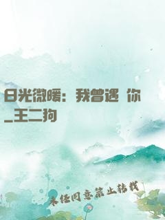 日光微暖：我曾遇見你