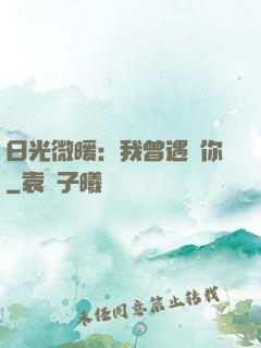 日光微暖：我曾遇見你