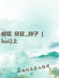 明星檢察官