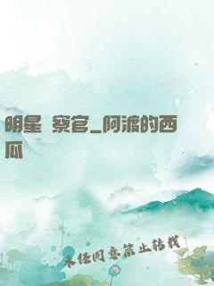 明星檢察官