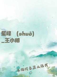 星峰傳說(shuō)