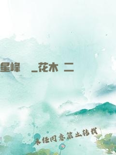 星峰傳說