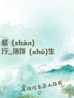 星戰(zhàn)盜將行