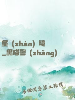 星戰(zhàn)邊境