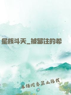 星核斗天
