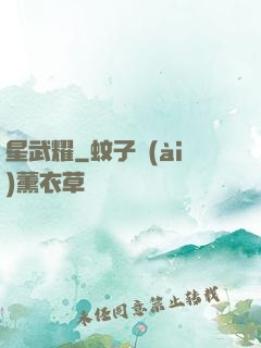 星武耀