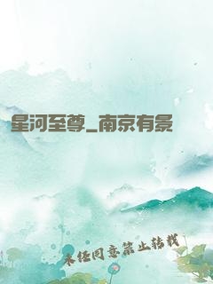 星河至尊