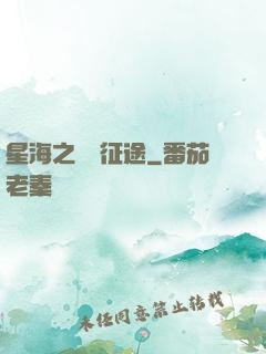 星海之無盡征途