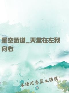 星空武道