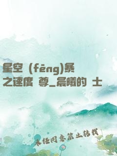 星空風(fēng)暴之速度為尊