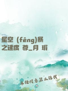 星空風(fēng)暴之速度為尊