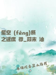 星空風(fēng)暴之速度為尊