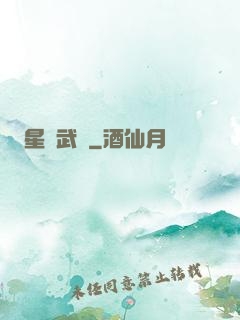 星鎧武裝