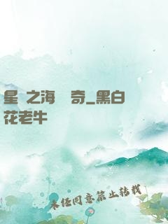星際之海盜傳奇