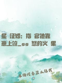 星際征婚：指揮官他靠崽上位