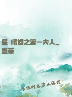 星際暖婚之第一夫人