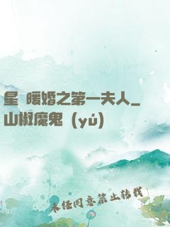 星際暖婚之第一夫人
