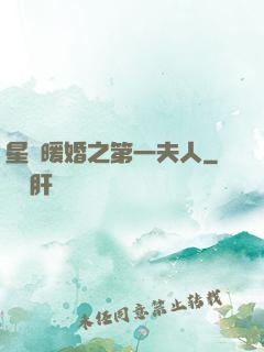 星際暖婚之第一夫人
