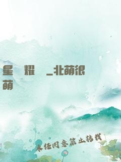 星際榮耀艦隊