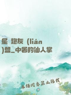 星際炮灰聯(lián)盟
