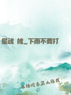 星魂劍魄