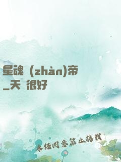 星魂戰(zhàn)帝