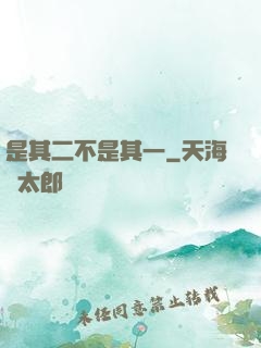 是其二不是其一