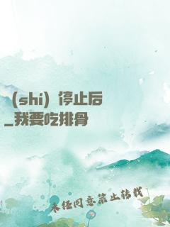 時(shí)間停止后