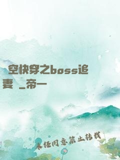 時空快穿之boss追妻記