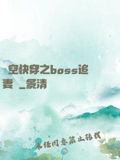 時空快穿之boss追妻記
