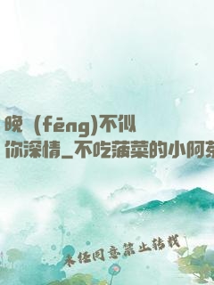 晚風(fēng)不似你深情