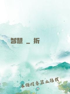 智慧書