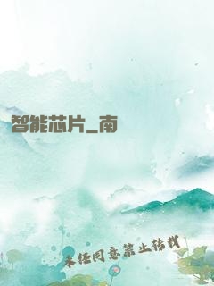 智能芯片
