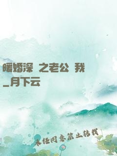 暖婚深寵之老公帶我飛
