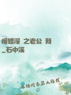 暖婚深寵之老公帶我飛