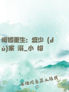 暖婚重生：盛少獨(dú)家寵溺