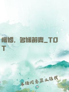 暖婚，名媛前妻